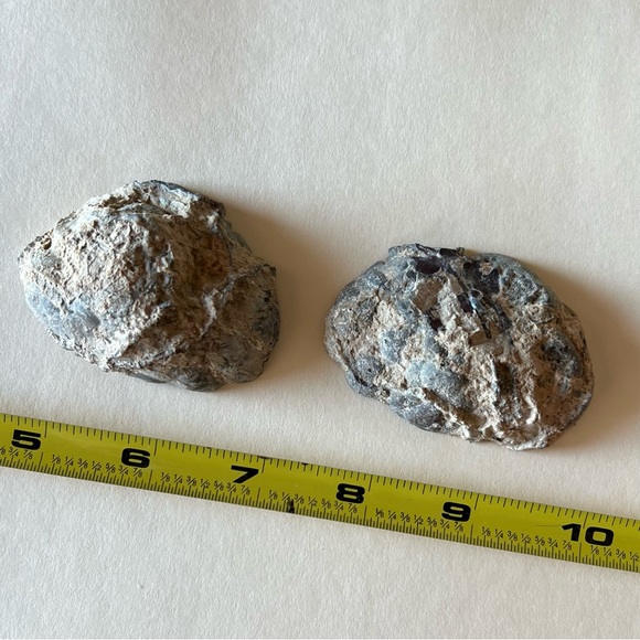Dugway Utah unpolished cut Geode - Picture 2 of 8